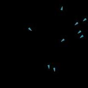 Boids 2