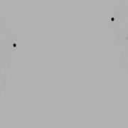 Side Plexus Particles Free White Background Videos No Copyright All Background Videos