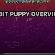 32 битный Puppylinux Focalpup32 обзор