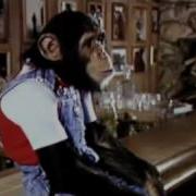 Michael Jackson And Bubbles Animal Planet Documentary Part 3 Of 5