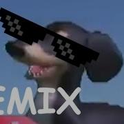 Dog Of Wisdom REMIX