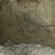 Indian Rock Python And Its Habitat