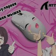 САМАЯ ПОПУЛЯРНАЯ БЮДЖЕТНАЯ МЫШКА Обзор на мышку Attack Shark X3