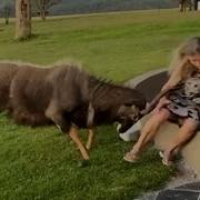 Best Fails Of The Decade Hilarious Videos