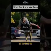 Wait For Python S Turn Funny Memes Shortsfeed
