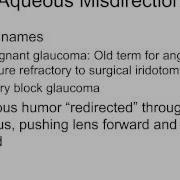 Full Lecture Secondary Angle Closure Glaucomas