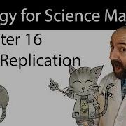 Chapter 16 The Molecular Basis Of Inheritance