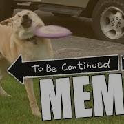 TO BE CONTINUED COMPILATION