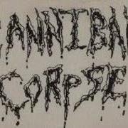 Cannibal Corpse Skull Full Of Maggots 1989 Demo