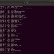 Linux Basics 16 Bash Scripting Basics Nepali