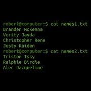 The Cat Command In Linux