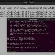 Sudo Npm Not Found After Manual Node Installation Sudo Npm Command Not Found Linux Ubuntu
