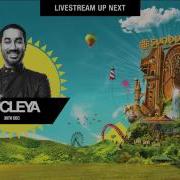 NUCLEYA Performance At Sunburn Pune