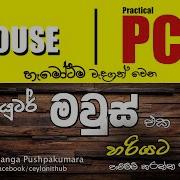 Mouse Techniques Practical PC Guide Work From Home 2020