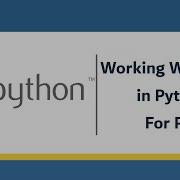 Create Delete Rename Write Read Files With Python In 2 Minutes