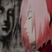 Sakura Is So Dangerous
