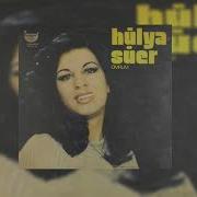 Hülya Süer Su Sazima Bir Duzen Ver