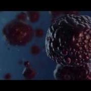 Organic Objects After Effects Element 3D
