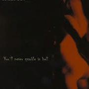 Ildfrost You Ll Never Sparkle In Hell 2000 Full Album