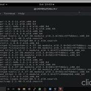 Launching HTTPD Web Server And Python Interpreter On The Top Of Docker Container