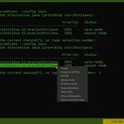 How To Install Magnolia CMS On Ubuntu 18 04 LTS