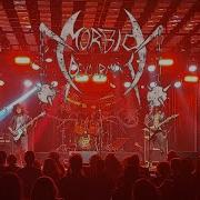 MORBID DEVOURMENT Toinha 12 2025