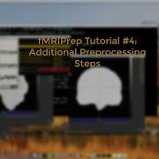 FMRIPrep Tutorial 4 Additional Preprocessing