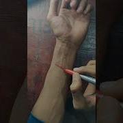 Fake Cut Tattoo Drawing Colour Drawing Video Fakecut