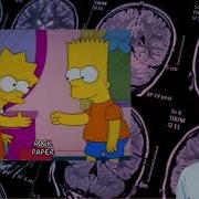 KlaesLab Paper Trails Ep 3 Decoding Hand Shape In The Human Brain PPC Insights