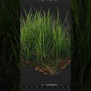 Realistic Grass Is EASY Blender 3d Tutorial