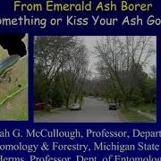 EAB Pesticides For Professionals