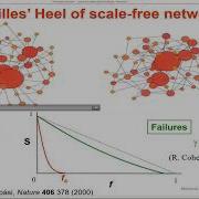 Network Robustness