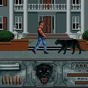 Wild Streets Longplay Amiga QHD