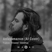 Elraen Anlayamazsın AI Cover