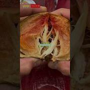 Sweet Sapodilla A Tropical Fruit You Must Try Shorts GardenShorts15