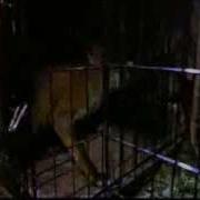 BBC Autumnwatch 2013 Episode 2 Part 3