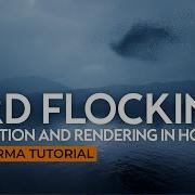 Bird Flocking Simulation And Rendering In Houdini Pro Karma Tutorial