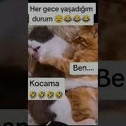 Horlama Be Herif Shorts Shots Short Shortsvideo Video Keşfet Viralvideo Funny Fyp Komedi