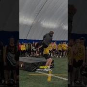 Parecia Um Momento Fofo Mas Olha O Final Shorts Curiosidades