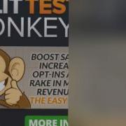 Split Test Monkey Review