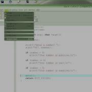 C Programming Tutorial 9 If Statement Part 2