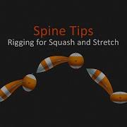 Rigging For Squash And Stretch Spine Tips 1