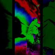 Lurk Live Punk Band Pressure Points Subterranean Chicago IL