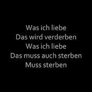 Rammstein Was Ich Liebe Lyrics