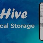 Flutter Hive Local Storage