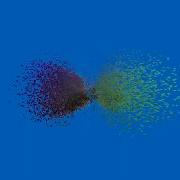 10 000 Boids Flocking Simulation 1440p 60fps