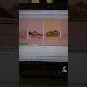Scrape Data From Any Website