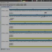 CLC Sequence Viewer краткий обзор