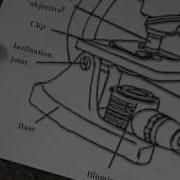 Microscope Lab 1