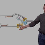 Stephen P Bell MIT HHMI 1b Chromosomal DNA Replication Initiation Of DNA Replication